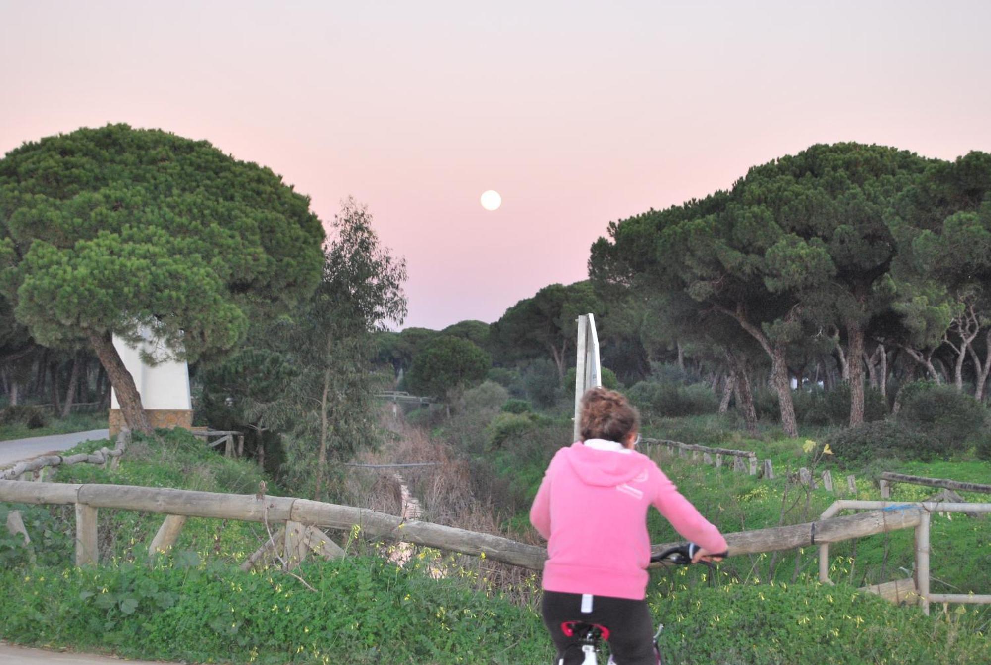 Tranvia Beach House Chipiona Bagian luar foto
