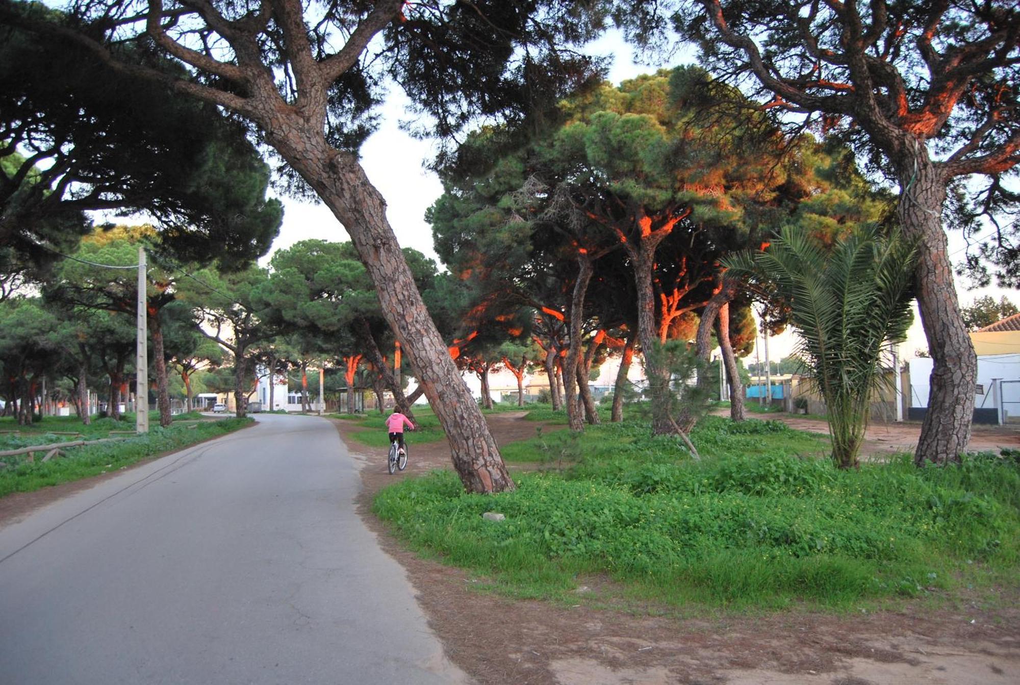 Tranvia Beach House Chipiona Bagian luar foto